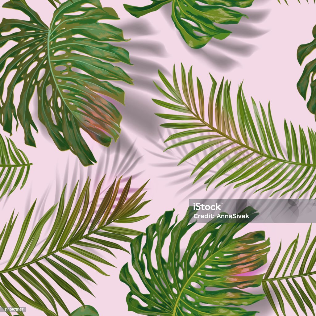 Tropical Palm Leaves Mô Hình Liền Mạch Nền Hoa Rừng Mùa Hè Thiết ...