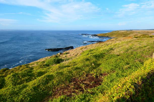 istock Beautiful nature and flowers and landscape 1140976943