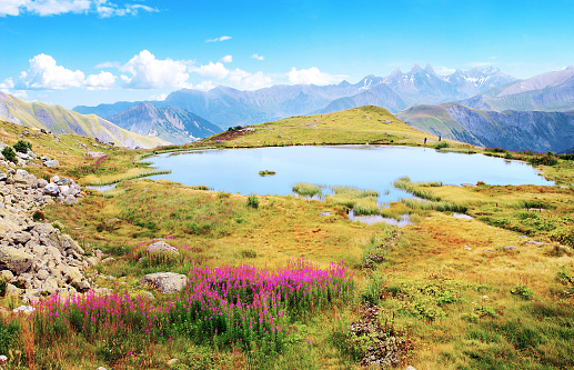 Flowered pond in summer, facing\nthe Maurienne, French intra-alpine valley located in the department of Savoie in the Auvergne-Rhône-Alpes region.
