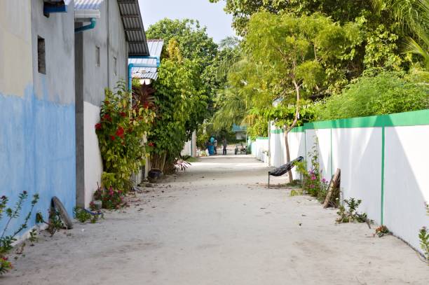Maldivian street with plants and trees (Ari Atoll, Maldives)