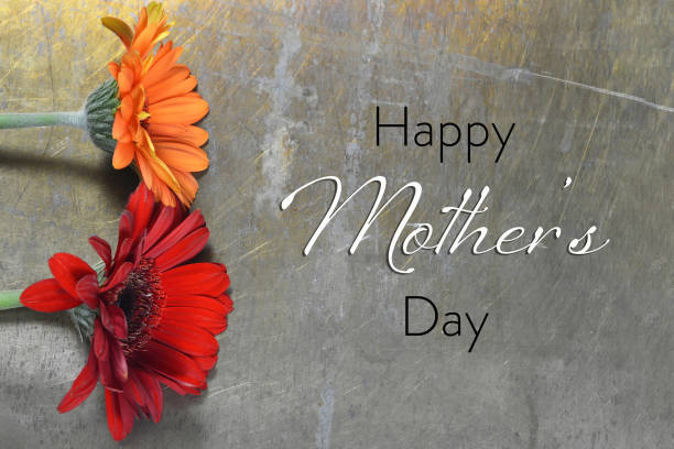 istock Happy Mothers Day card with gerbera daisies on rusty background 1140980281