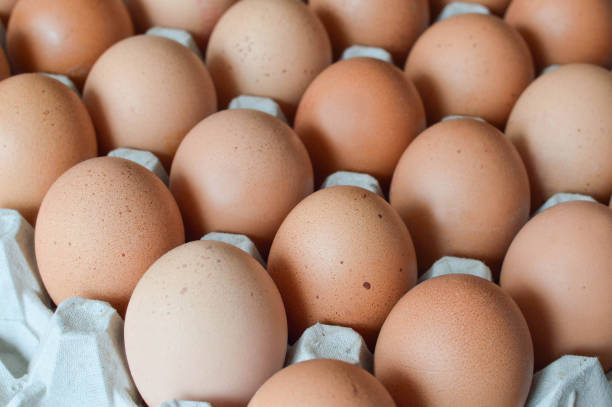 istock Close up of chicken eggs 1140983112