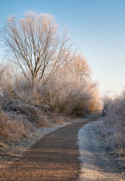 A cold crisp morning and a winding footpath through a meadow