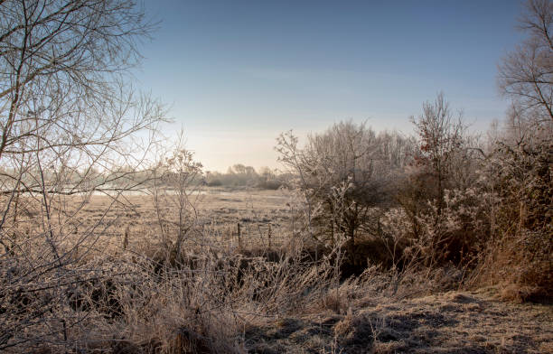 istock A frosty countryside winter scene 1140984283