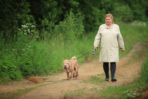 istock Woman Walking a Shar-Pei 1140984315
