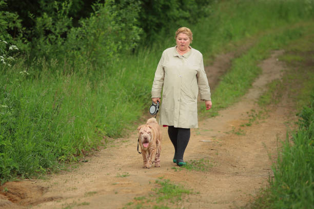 istock Woman Walking a Shar-Pei 1140984317