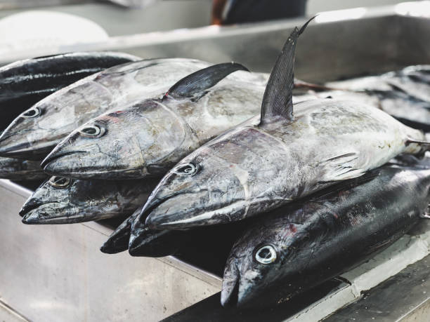 istock Fresh fish at the fish market. Close-up 1140984521