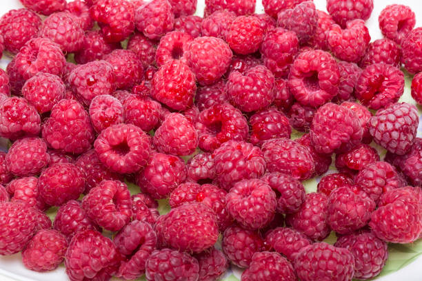 istock A beautiful selection of freshly picked ripe red raspberries. 1140984559
