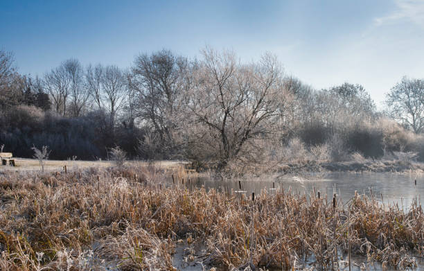 istock A frosty countryside winter scene 1140984647