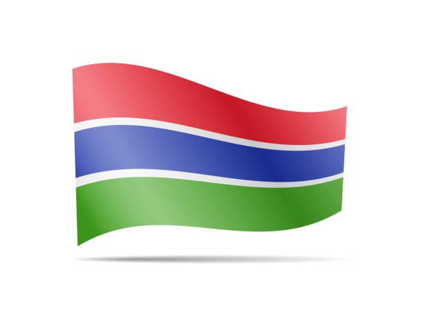istock Waving Gambia flag in the wind. Flag on white vector illustration 1140984672