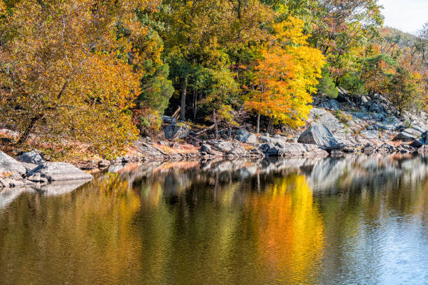 istock Great Falls yellow orange autumn tree reflection view in canal lake river surface during autumn in Maryland colorful foliage 1140988076
