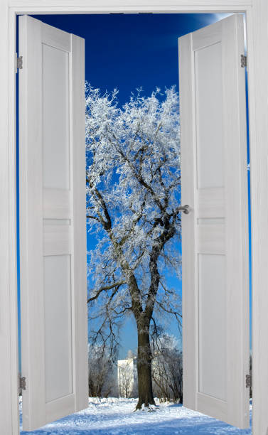 Open door into winter park