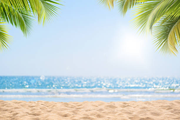 istock Tropical beach in summer for background 1140992068
