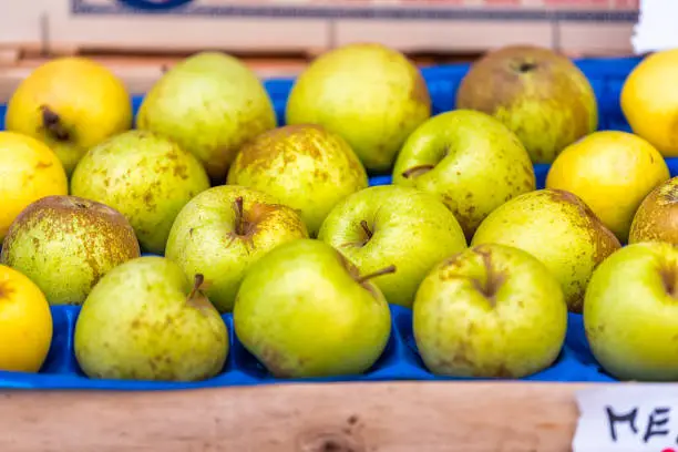 Closeup of many golden delicious green yellow apples in box at farmer's market shop store showing detail and texture in Italy