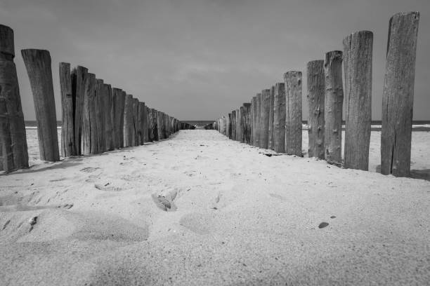istock Beach poles wavebreaker in Domburg, the Netherlands 1140992399