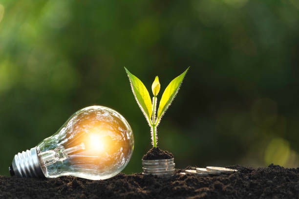 istock Light bulbs with glowing one. technology and creativity concept with light bulbs and copy space for insert text 1140993106