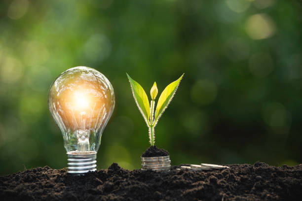 Light bulbs with glowing one. technology and creativity concept with light bulbs and copy space for insert text