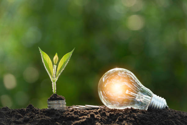 istock Light bulbs with glowing one. technology and creativity concept with light bulbs and copy space for insert text 1140993128