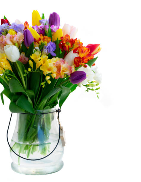 istock fresh tulips flowers 1140993747