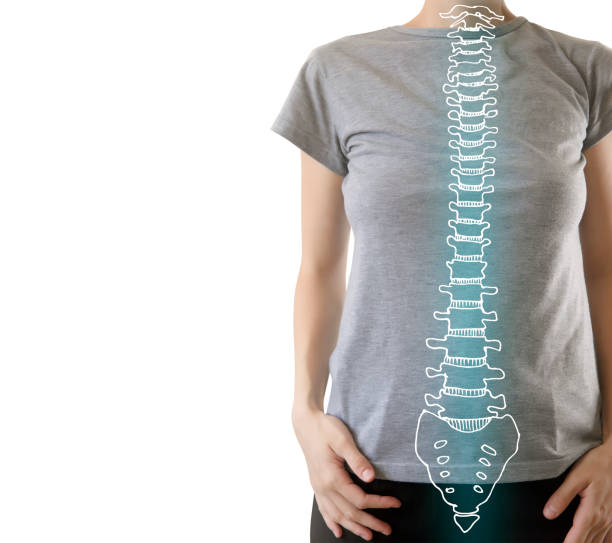 istock human spine with good posture highlighted blue - health and gymnastics 1140993781