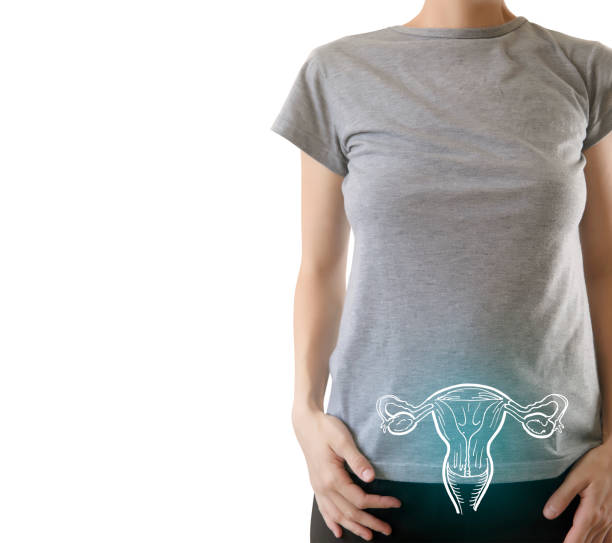 istock healthy uterus highlighted blue 1140993877