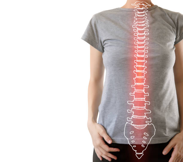 istock human spine with good posture highlighted red - pain and disease 1140993888