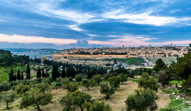 jerusalén y el monte de los olivos - mount of olives fotografías e imágenes de stock