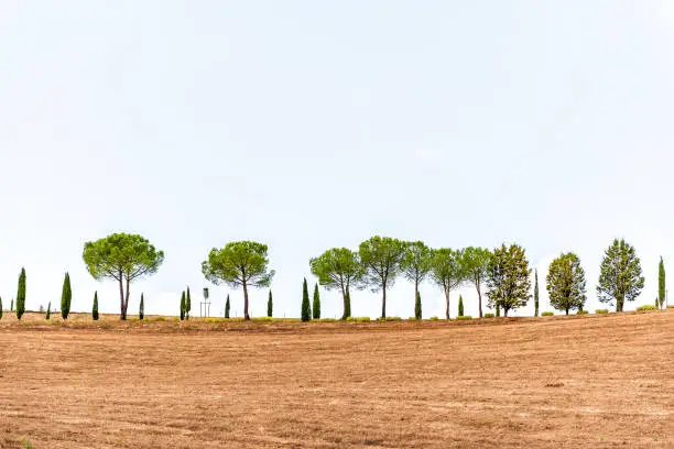 Val D'Orcia countryside in Tuscany, Italy with rolling plowed brown hills top farm landscape idyllic picturesque meadow field row cypress trees