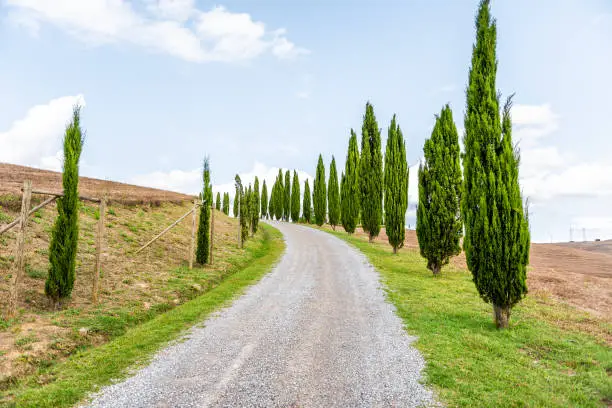 Val D'Orcia countryside in Tuscany, Italy with rolling hills and dirt gravel road to villa house on top farm landscape idyllic picturesque cypress trees lining path