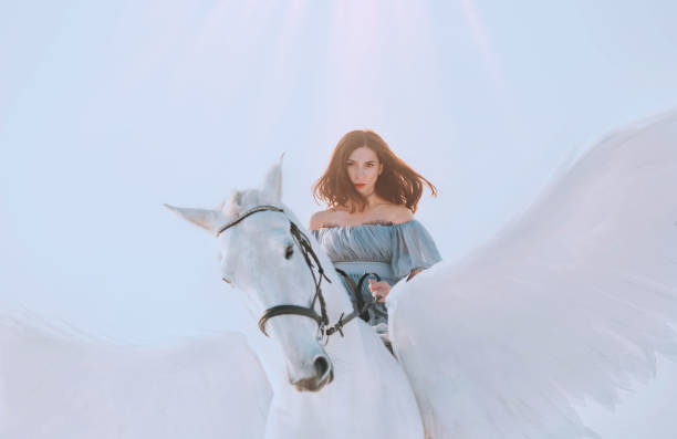 ciel lumineux et la lumière du soleil, fille majestueuse avec des cheveux volants foncés équitation cheval, un ange en robe vintage gris avec des épaules nues ouvertes sur le dos de cheval blanc magnifique avec des ailes élégantes légères. - horse animal head animal sky photos et images de collection