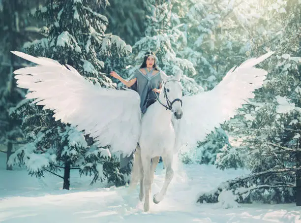 Photo of cute princess of winter snow forest riding on big white fairy pegasus, goddess of cold on magical animal, pleasant weather, friendship human and animal, lady in bright sunlight and flying snow