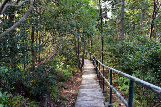 istock Paved path, from hiking trails on Lamma Island, Hong Kong 1140998586