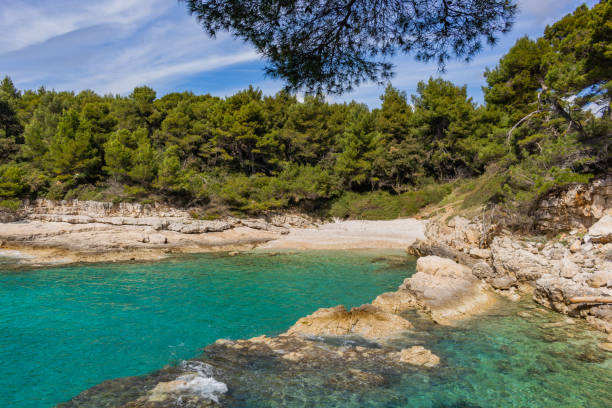 istock Valovine best beach Pula Istria Croatia 1141000565