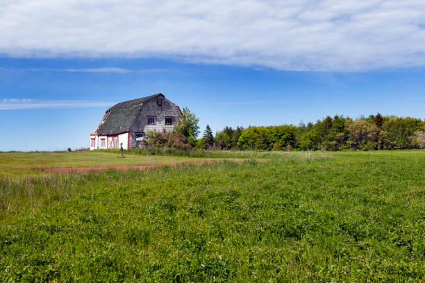 istock Prince Edward Island Canada 1141005371