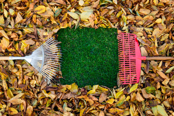 las hojas de otoño - rastrillo artículos de jardín fotografías e imágenes de stock