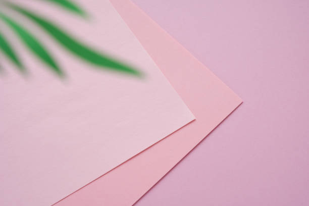 istock Tropical leaves on pastel pink background. minimal concept. 1141008239