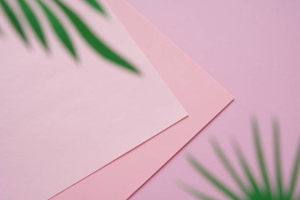 istock Tropical leaves on pastel pink background. minimal concept. 1141008240