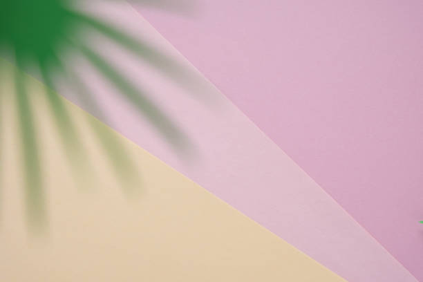 istock Tropical leaves on pastel pink background. minimal concept. 1141008245