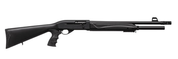 istock Shotgun isolated on white background 1141009645