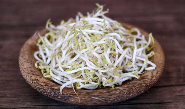 istock Mung bean sprouts or tauge 1141010302