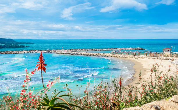 Landscape with beach on Tel Aviv