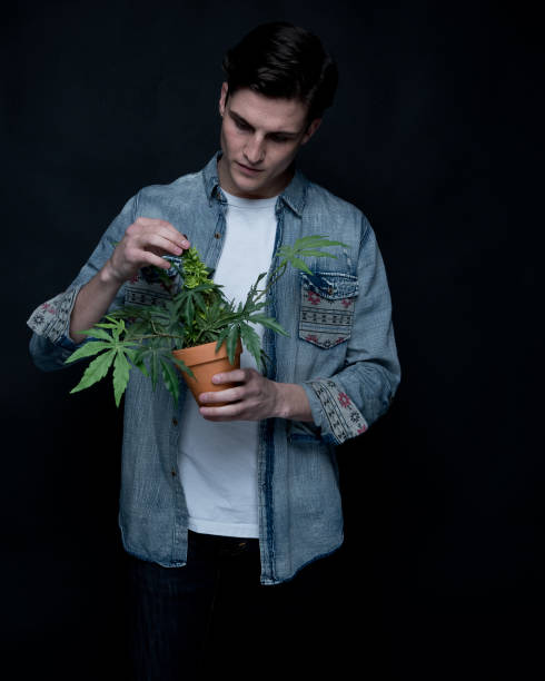 istock Close up view of man with marijuana plant 1141011356