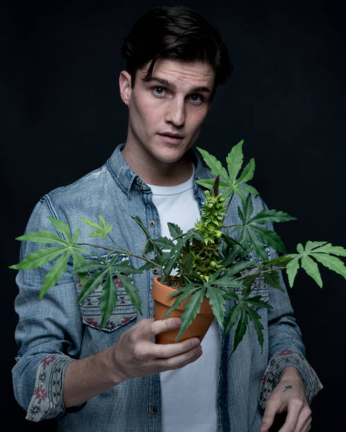 istock Close up view of man with marijuana plant 1141011449