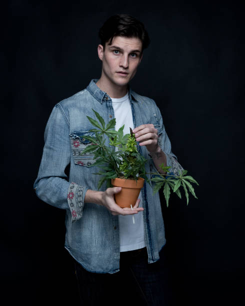 istock Close up view of man with marijuana plant 1141011543