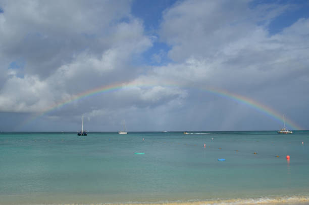 istock Rainbow Over the Ocean in Aruba 1141013914