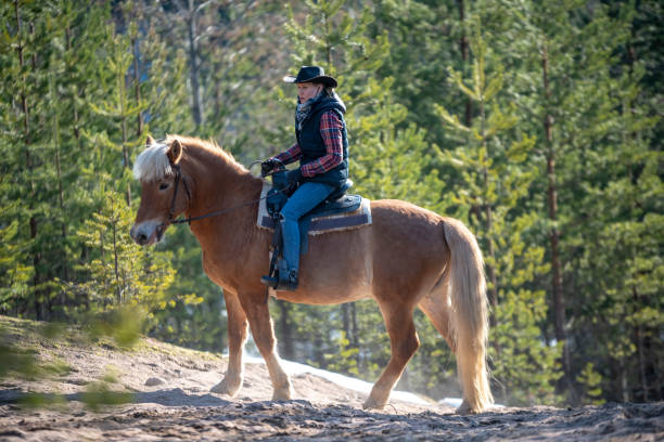 istock Woman horseback riding 1141014115
