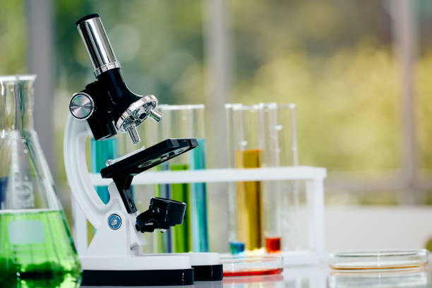 istock Microscope on table with laboratory equipment in chemical lab; Science laboratory research and development concept 1141014239