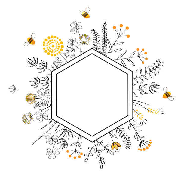 Frame with honey flowers and bees. Cartoon vector illustration Hexagon Frame with cute honey flowers and bees. Cartoon vector illustration hexagon illustrations stock illustrations