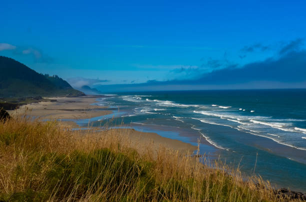 istock Pacific ocean and Oregon coast/beach - sand,, surf,, and dense forests 1141020383
