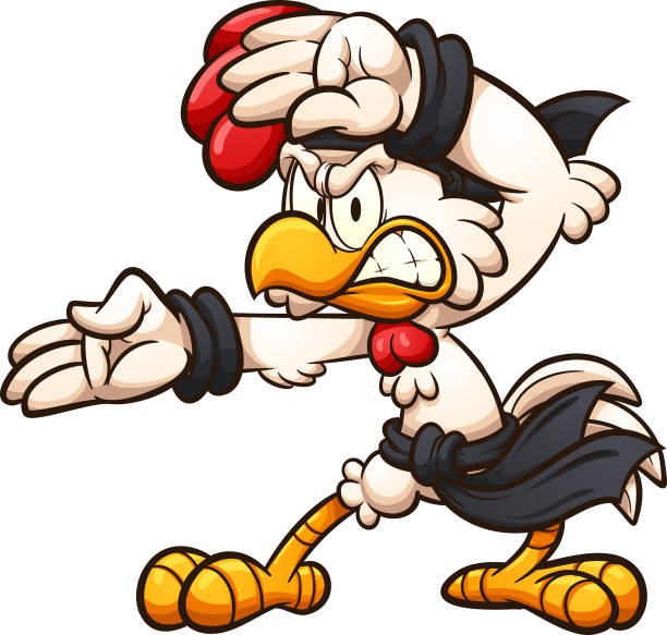 Karate Chicken Cartoon chicken striking a karate pose clip art. Vector illustration with simple gradients. All in a single layer. blackbelt stock illustrations